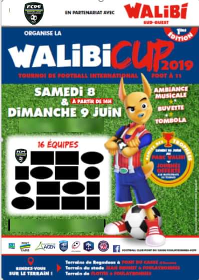 walibicup-2019-organise-par-le-fcpf