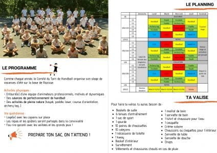 Stage Comité-handball Tarn stage-comite-handball-tarn