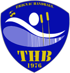 Logo du THB bleu et jaune